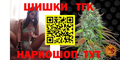 Альфа ПВП Будённовск